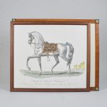 1544 8262 Grafiska blad